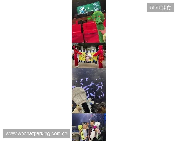 图片报：拜仁和1860球迷互相涂鸦标记地盘，已有两人被捕